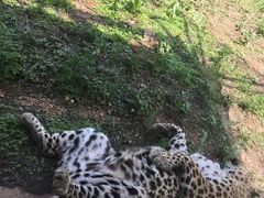 -大连森林动物园