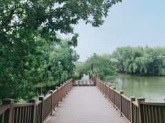 -长兴太湖图影湿地文化园
