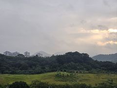 -广州汇华希尔顿逸林酒店