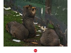 -硗碛藏寨·神木垒景区