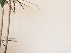 -Bamboo Today Cafe(国创园店)