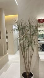 -Garden花園造型