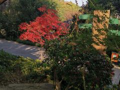 -杭州半山国家森林公园