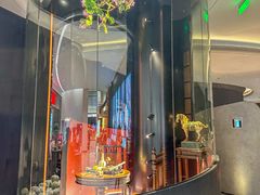 -新兴·金羊座·粤菜点心(乐峰店)