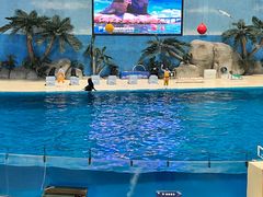 -泉城欧乐堡海洋极地世界