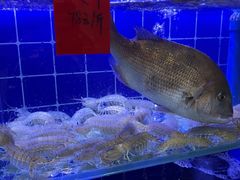 -鱼市酒店(威海水产批发市场店)