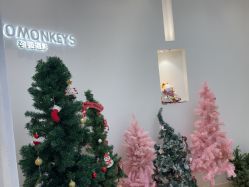 -Two  Monkeys 孕婴写真馆(龙华店)