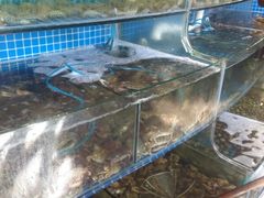 水产区-蟹谢蒸鲜自助餐厅
