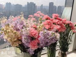 -倩极·精研痘敏肌管理