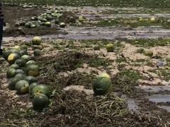 -文昌铺前老街