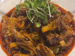 -院8里·少城记忆老川菜(宽窄巷子店)