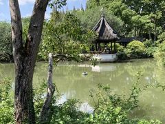 -上海醉白池公园