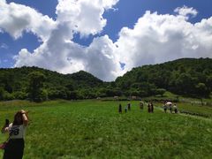 -大水川景区