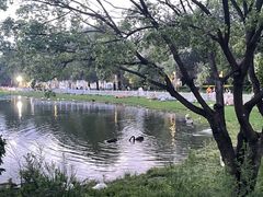 -南湖大桥