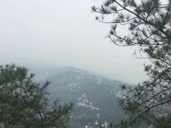 -大金鹰园