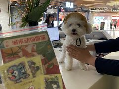 -瑞虹新天地月亮湾