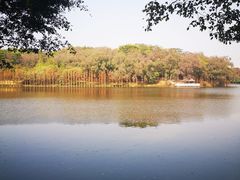 -三水森林公园