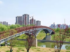 -四里河滨水生态公园