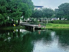 -尚贤河湿地