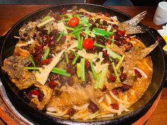 老板恋上鱼-老板恋上鱼(高新万达店)