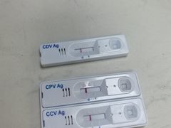 -贝康宠物医院·犬猫全科·小动物特色诊疗中心(东环路店)