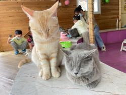 -萌宠亲子动物乐园(槐房万达店)