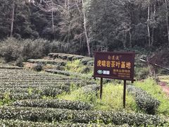 景点-武夷山风景名胜区-虎啸岩