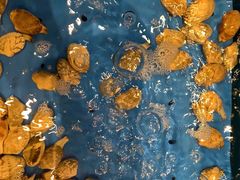 -“香”全日餐厅·株洲大汉希尔顿酒店