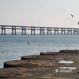 星海湾浴场的水好清