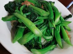 生炒菜心-禄源公·老莞诚饭店