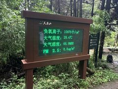 -天目山大树王景区