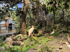 -陕西自然博物馆