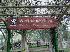 -成都大熊猫繁育研究基地