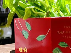 现烫鸡毛菜-皖厨·中国徽菜(星河WORLD·COCO Park店)