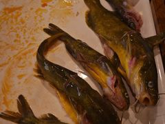 -融泽漁悦三只耳鱼火锅(南郑大道店)