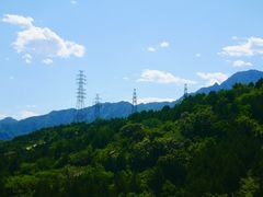 -白水寺森林公园