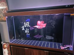 -将·刺青·纹身