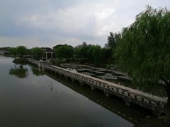 -上海鲜花港