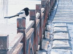 -迎泽公园