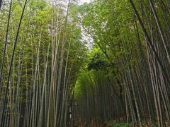 -苏州环秀晓筑养生度假村