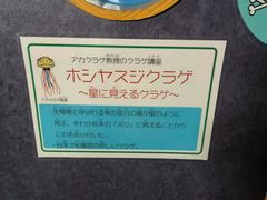 -西海国立公园九十九岛水族馆