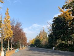 -狼山风景名胜区