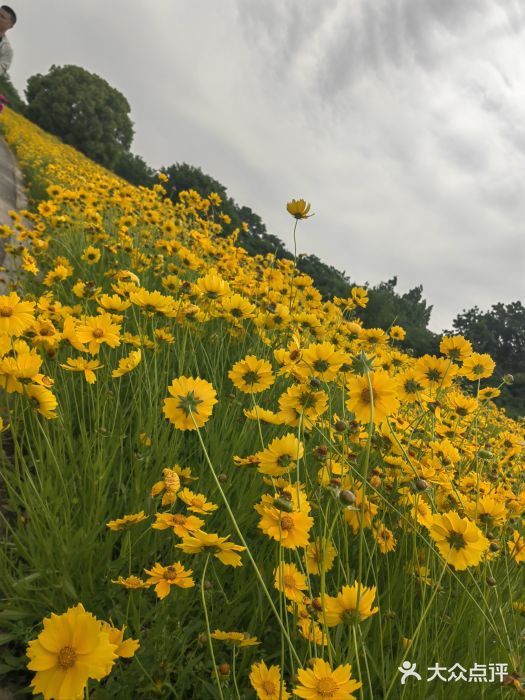 中华赏石园图片