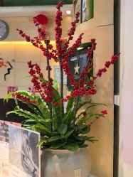 -艺米阳光Hair Salon