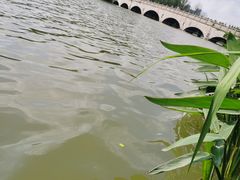 -昆山城市生态森林公园