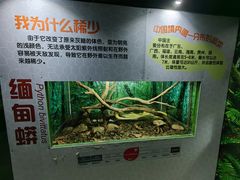 -广州长隆飞鸟乐园