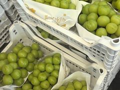 -西郊国际农产品交易中心