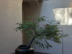 -元古本店(南锣鼓巷店)