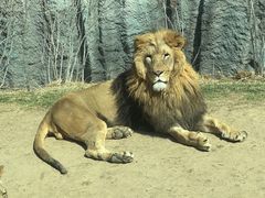 -北京野生动物园