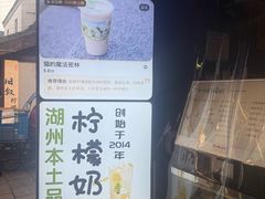 -猫的魔法密林(衣裳街店)